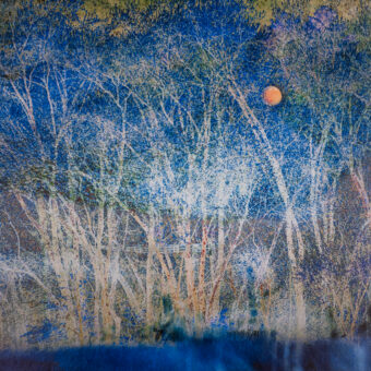 View artwork titled Fence in Moonlight